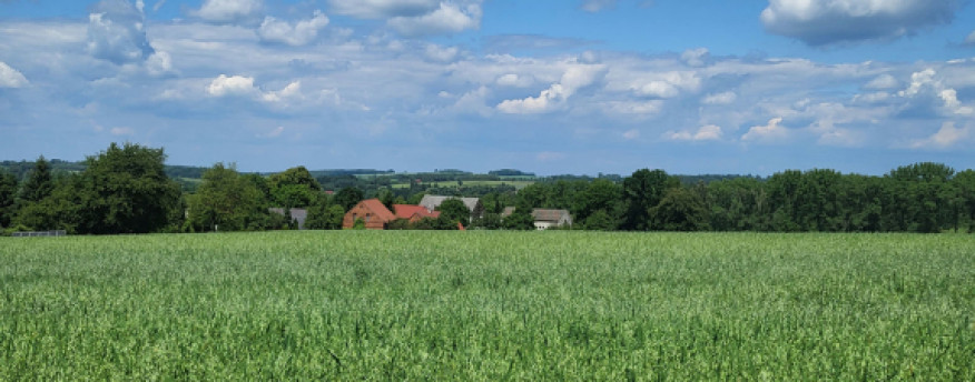 fotka 15 - Nad Strumykiem